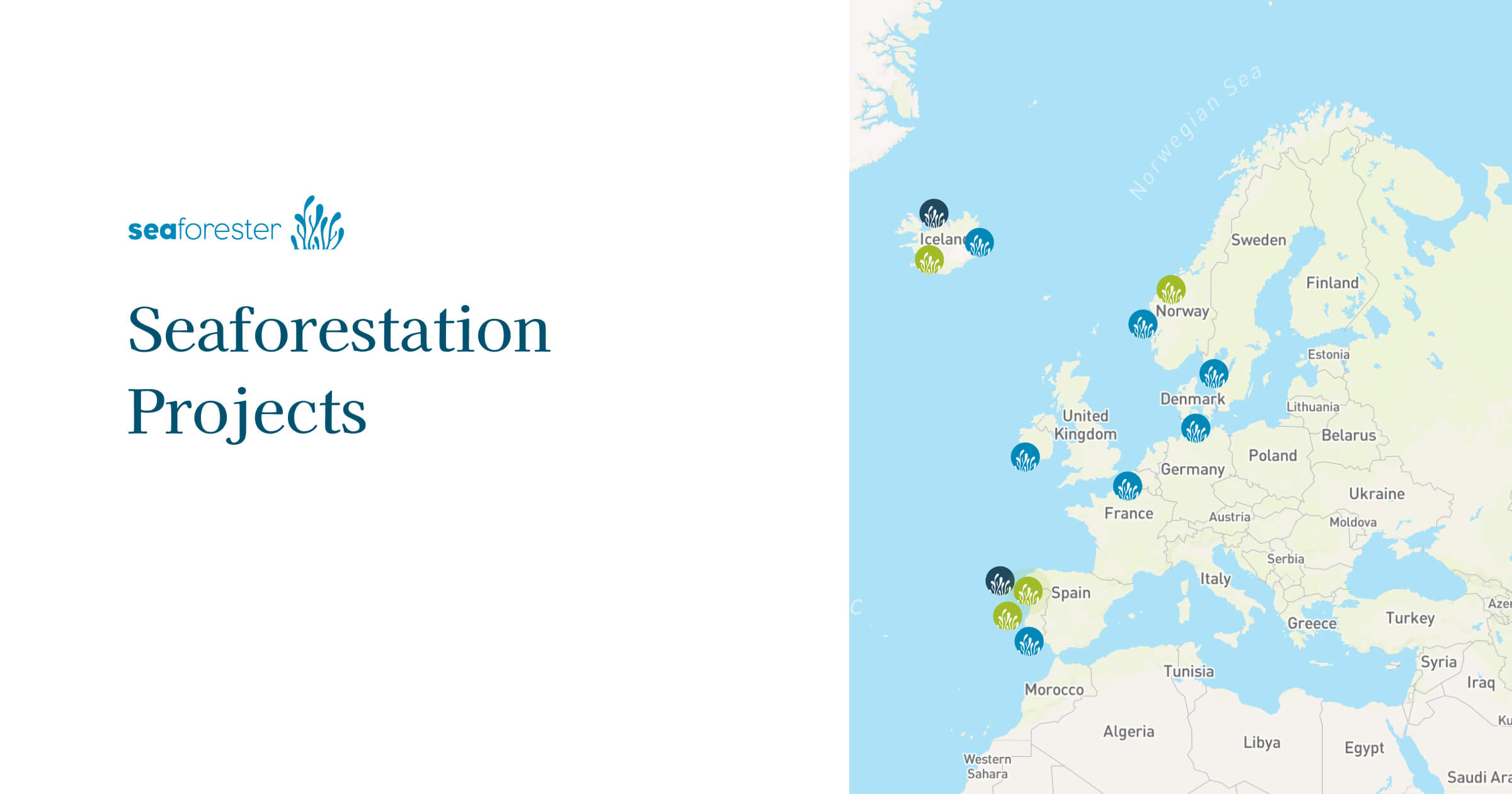 SeaForester - Our Projects